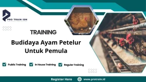 Training Budidaya Ayam Petelur Untuk Pemula