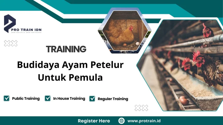 Training Budidaya Ayam Petelur Untuk Pemula