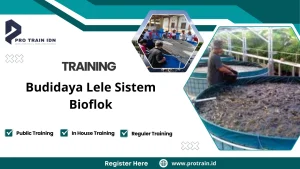 Training Budidaya Lele Sistem Bioflok