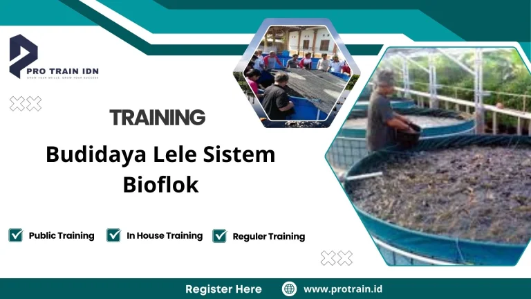 Training Budidaya Lele Sistem Bioflok