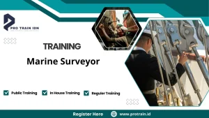 Training Marine Surveyor