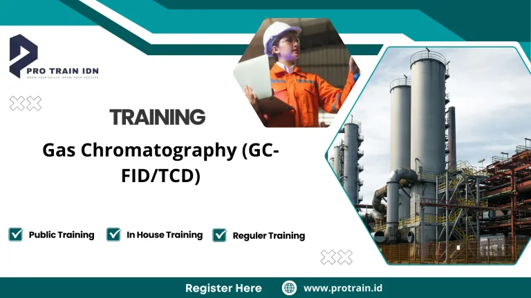 Training gas chromatography FID