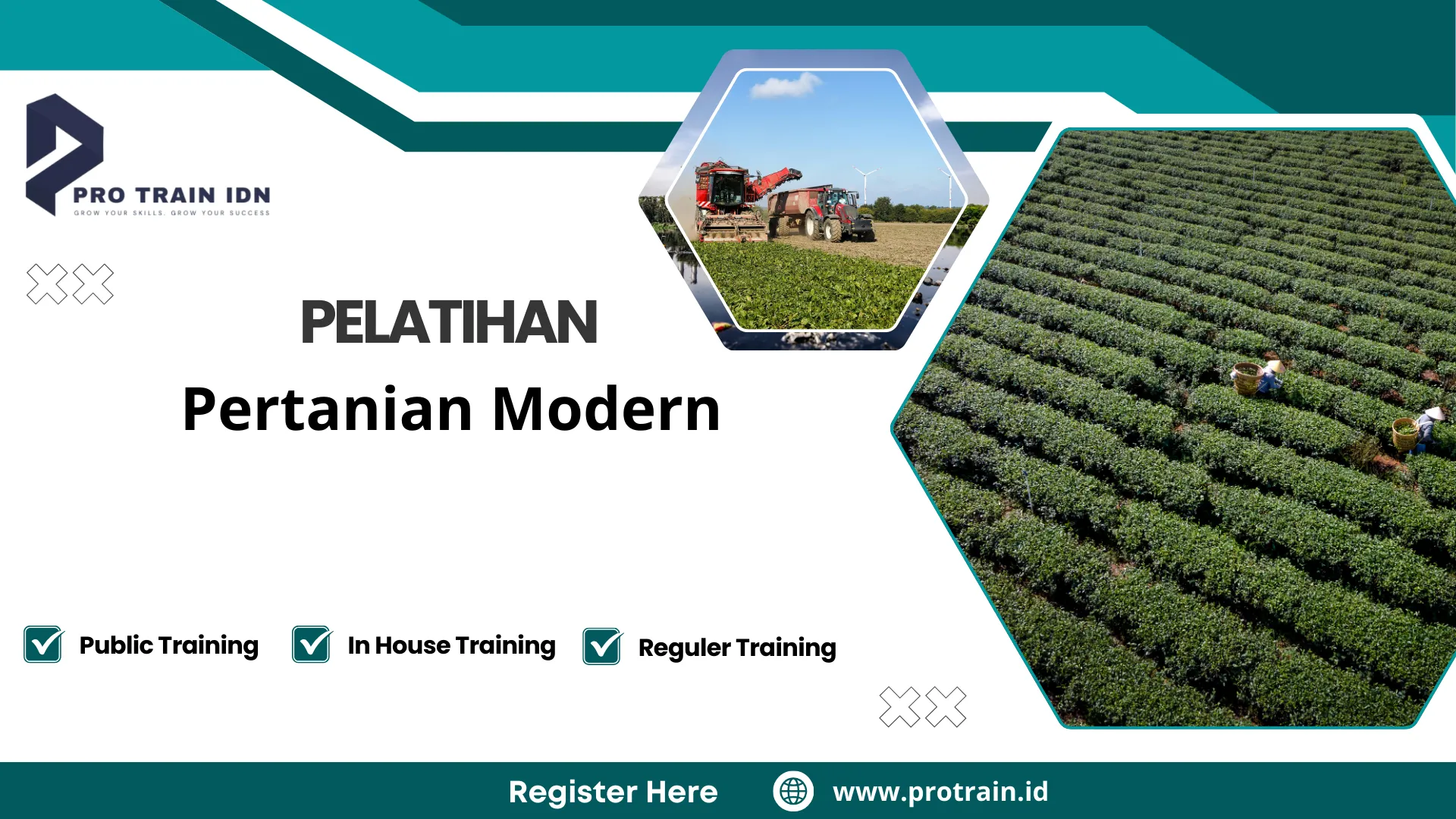 Pelatihan Pertanian Modern