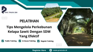 Training pengelolaan kebun sawit berkelanjutan