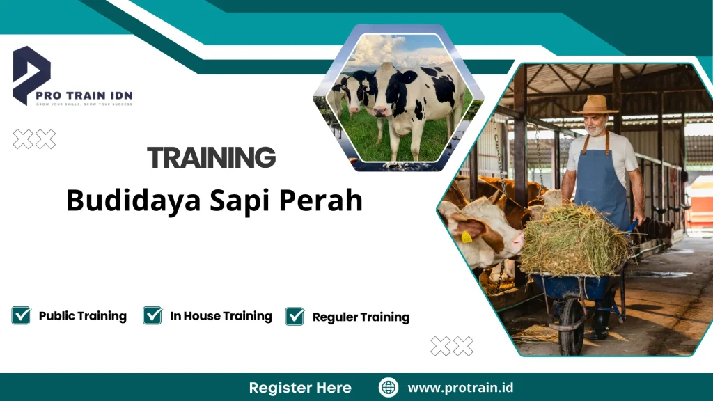 Training Budidaya Sapi Perah