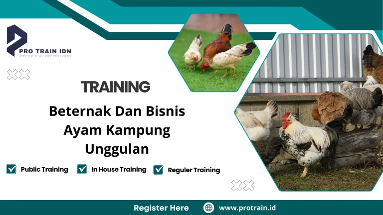 Pelatihan beternak ayam kampung