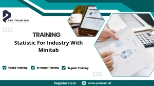 Pelatihan minitab analysis