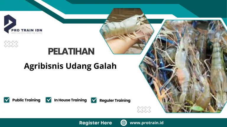 Pelatihan budidaya udang galah