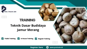 Pelatihan budidaya jamur merang