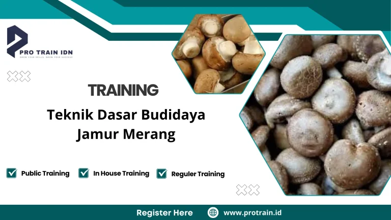 Pelatihan budidaya jamur merang