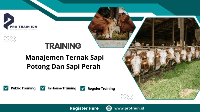 Pelatihan manajemen ternak sapi