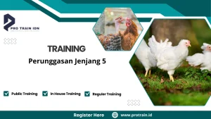 Pelatihan manajemen usaha unggas modern