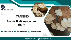 Pelatihan cara menanam jamur tiram