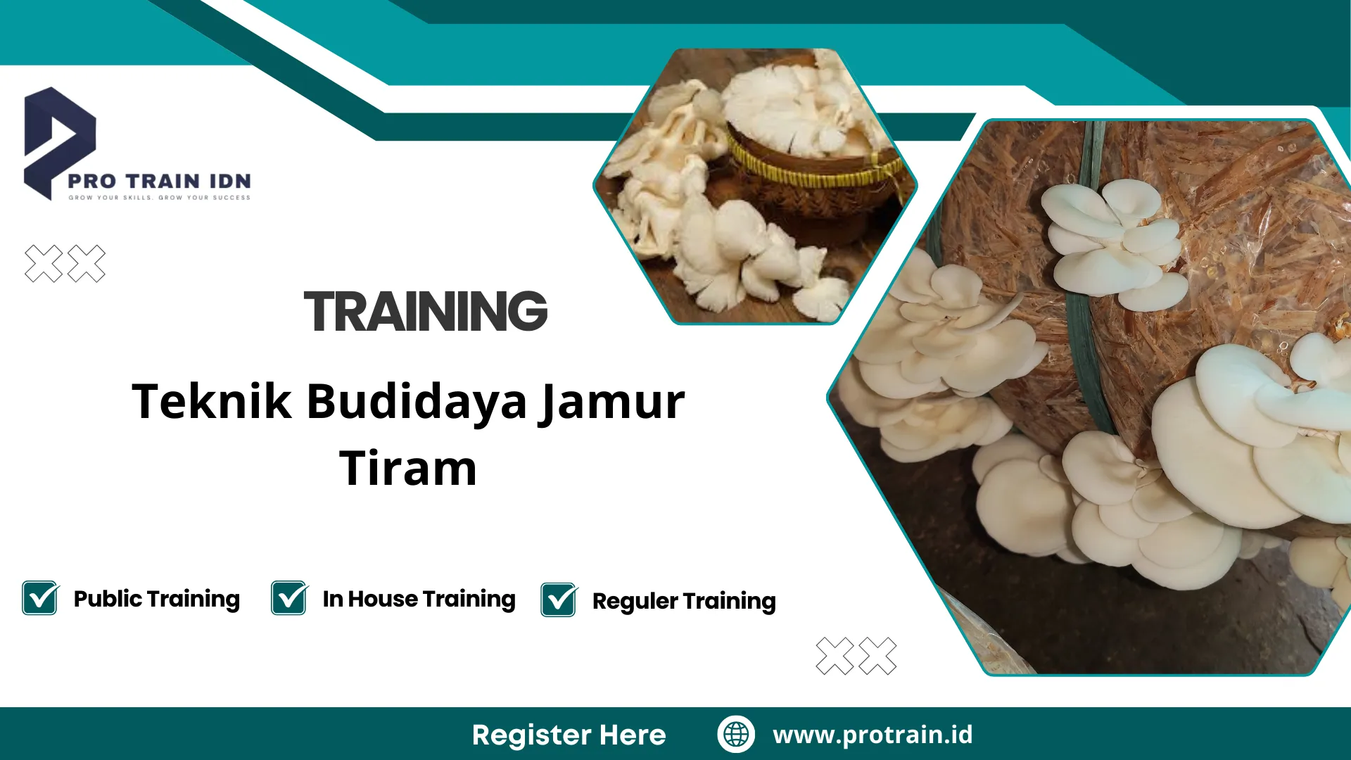 Pelatihan cara menanam jamur tiram