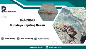 Pelatihan manajemen budidaya kepiting