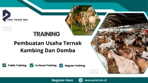 Pelatihan manajemen peternakan domba