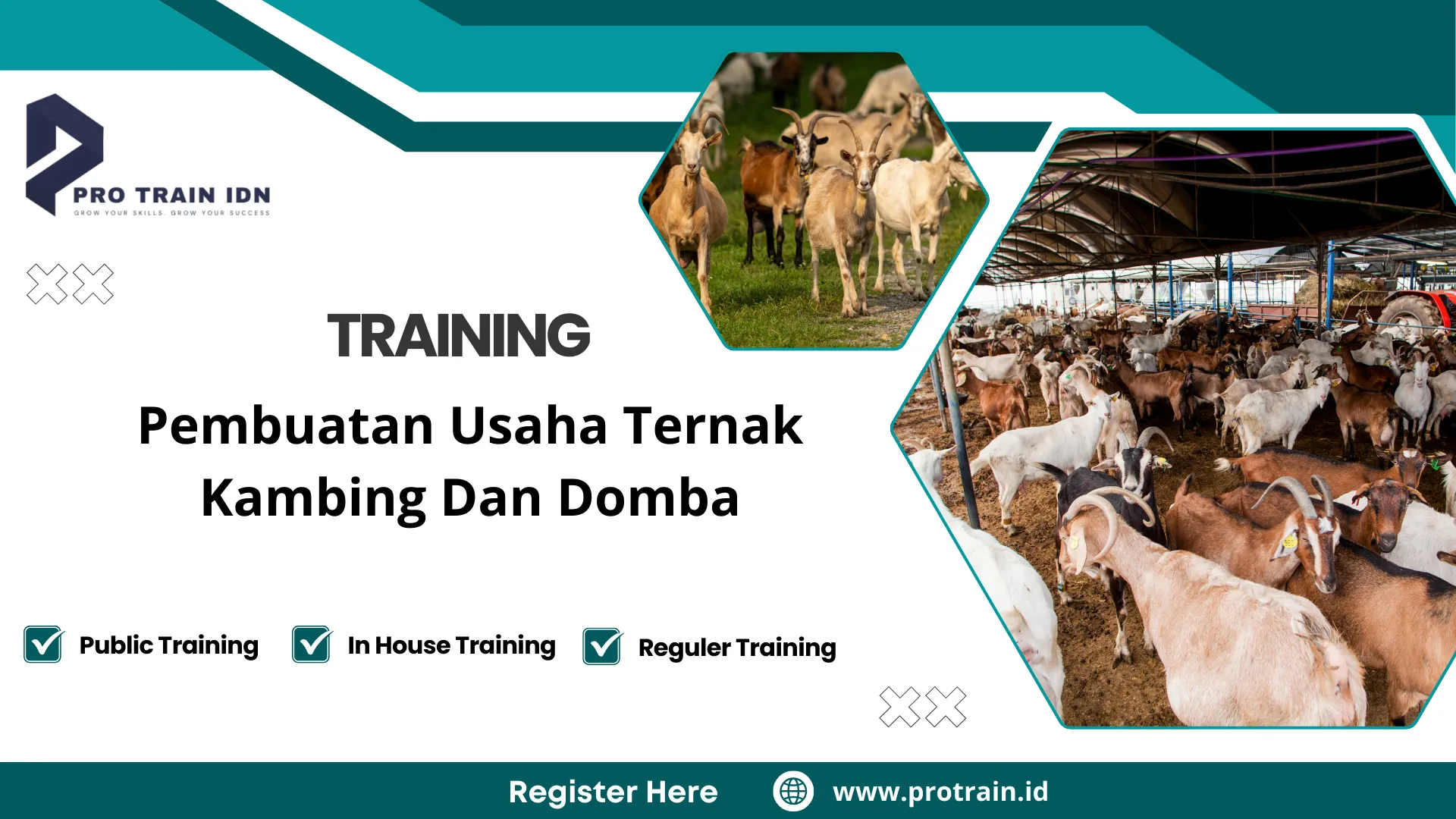 Pelatihan manajemen peternakan domba