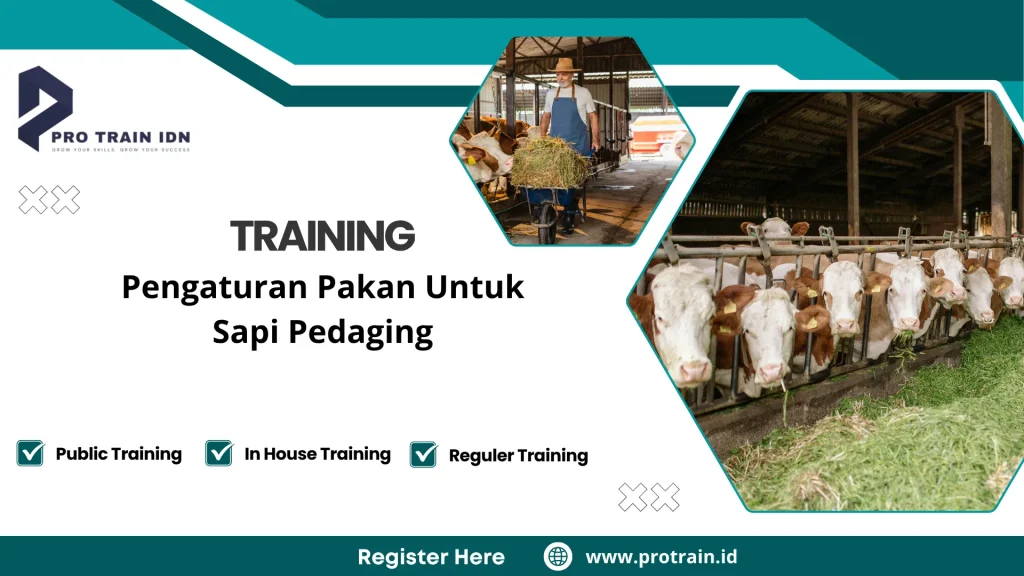 Pelatihan pakan sapi pedaging efisien
