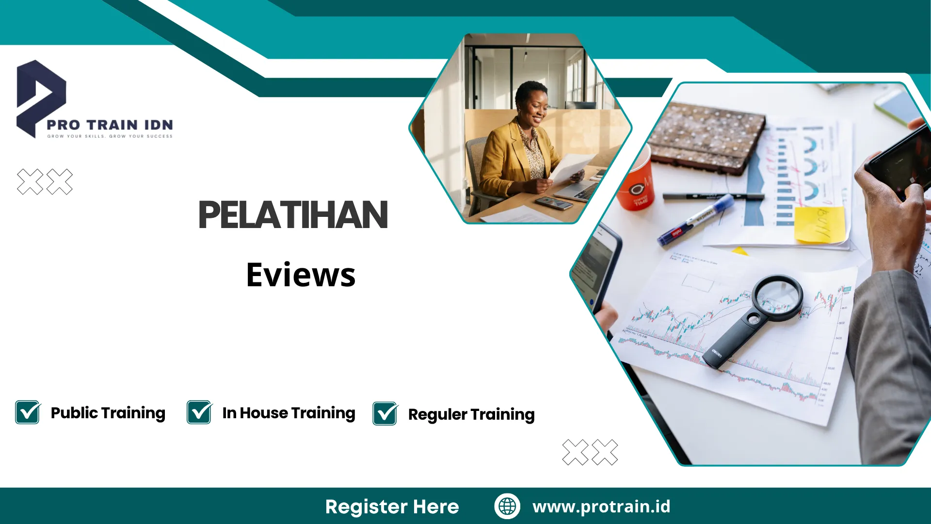 Pelatihan eviews pemula