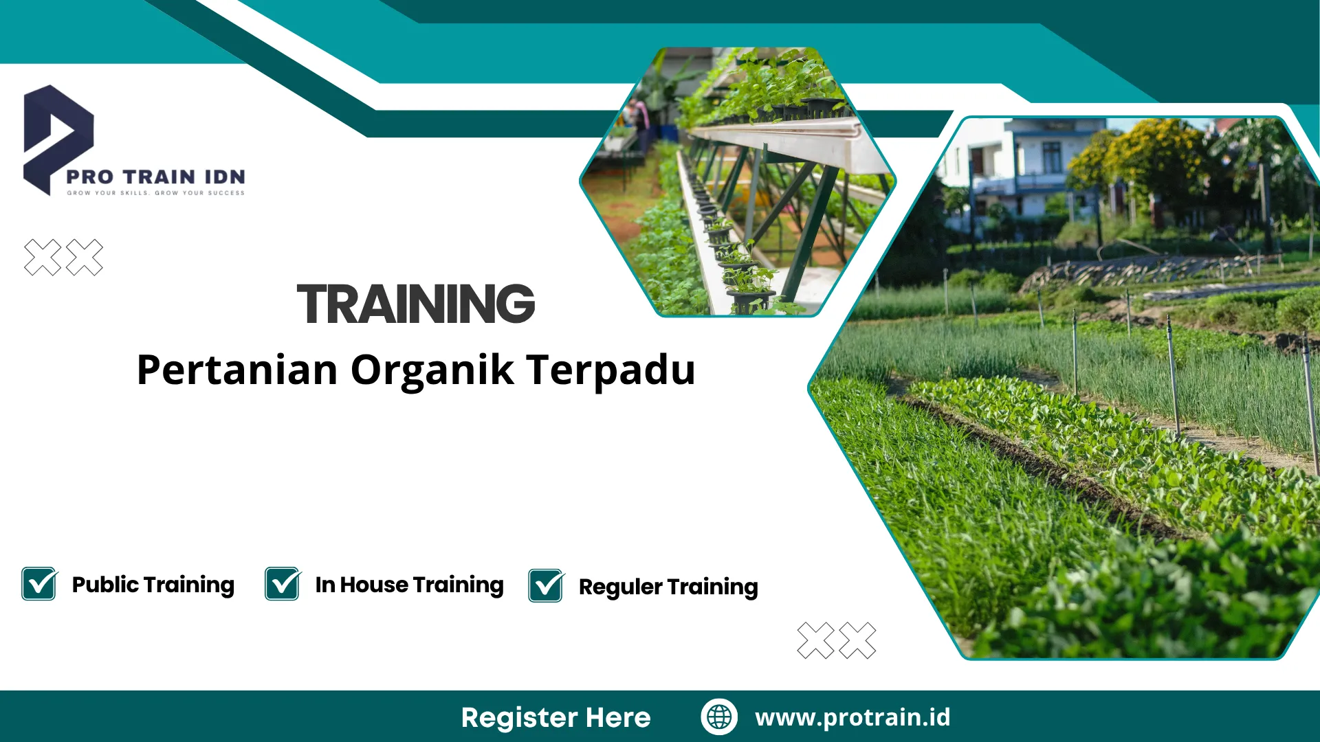 Pelatihan pertanian organik modern