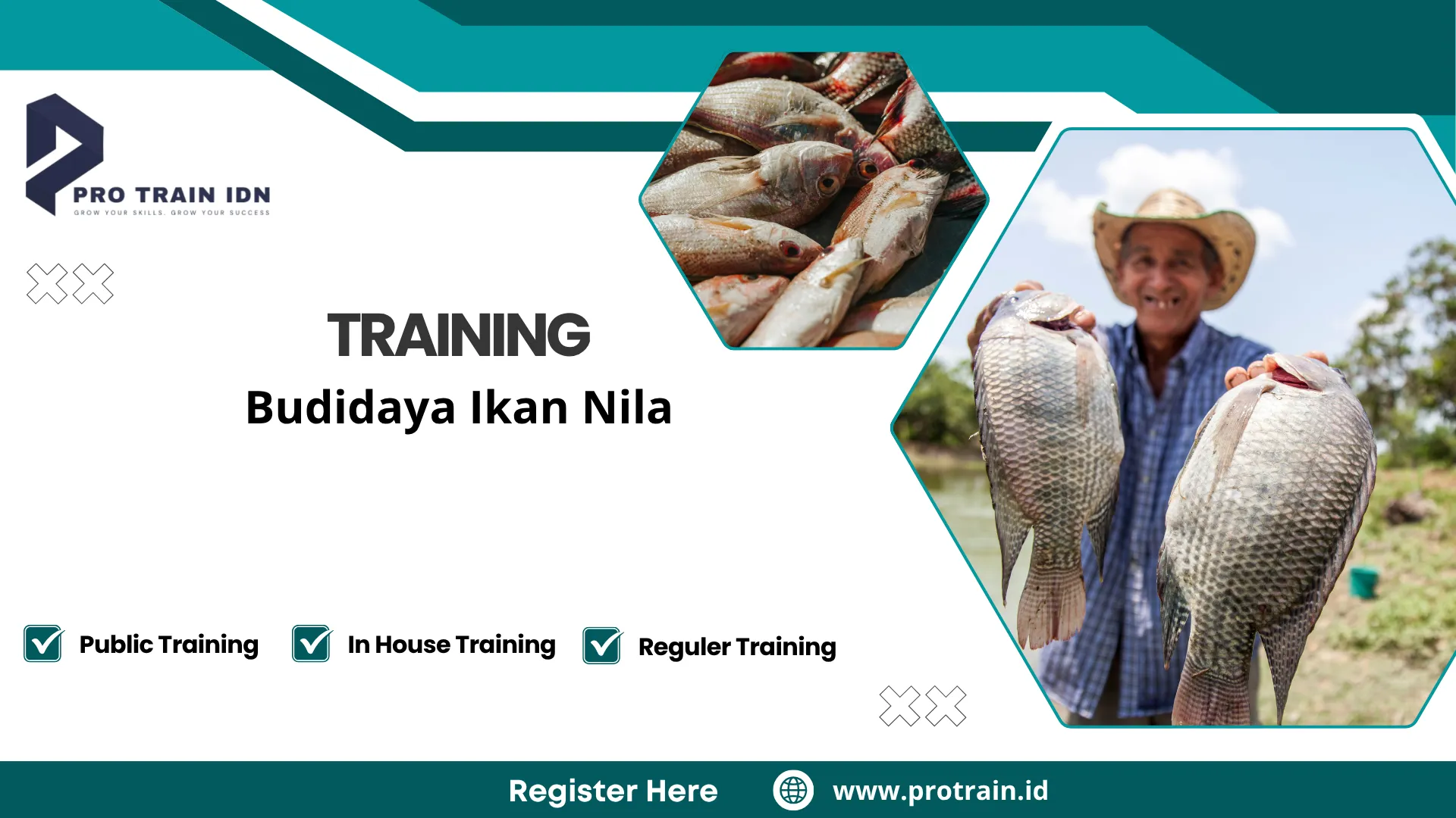 Pelatihan cara ternak ikan nila cepat panen