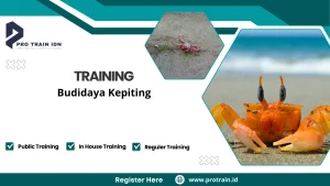 Pelatihan tambak kepiting produktif