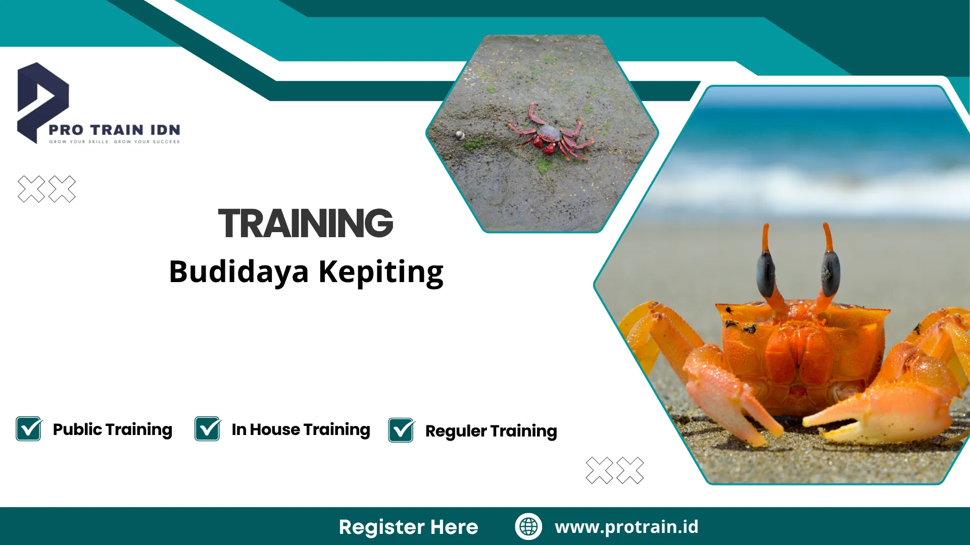 Pelatihan tambak kepiting produktif