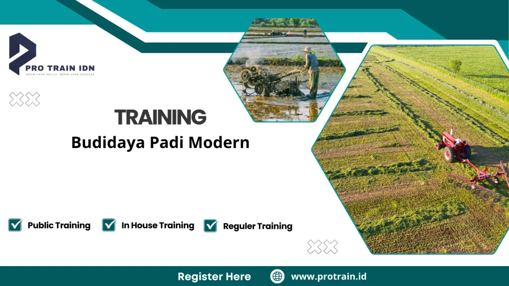 Pelatihan sistem jajar legowo