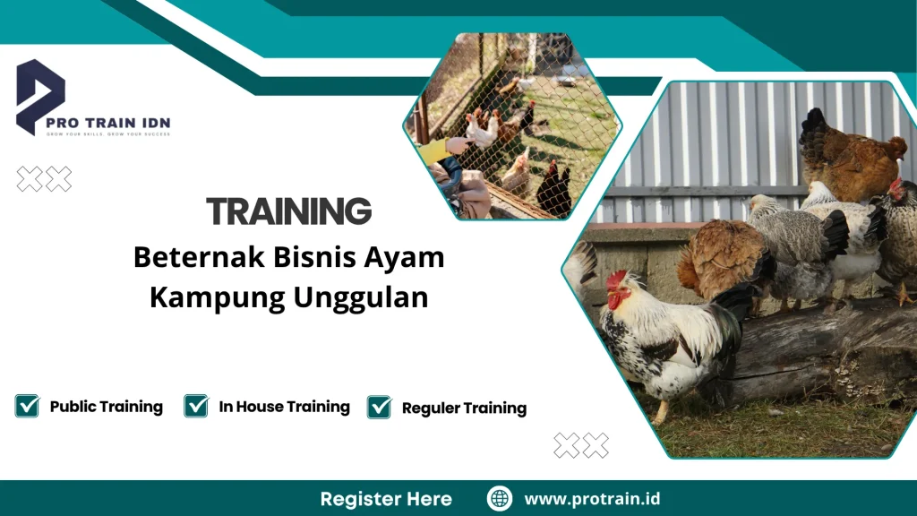 Pelatihan cara sukses ternak ayam kampung