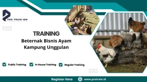 Pelatihan cara sukses ternak ayam kampung