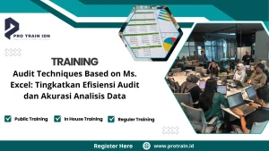 audit data analysis
