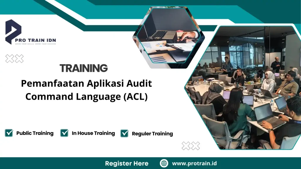 analisis data audit