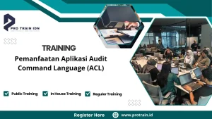 analisis data audit