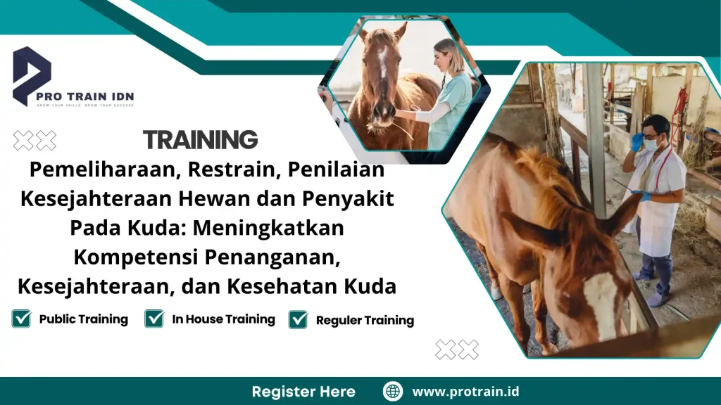 horse health management
