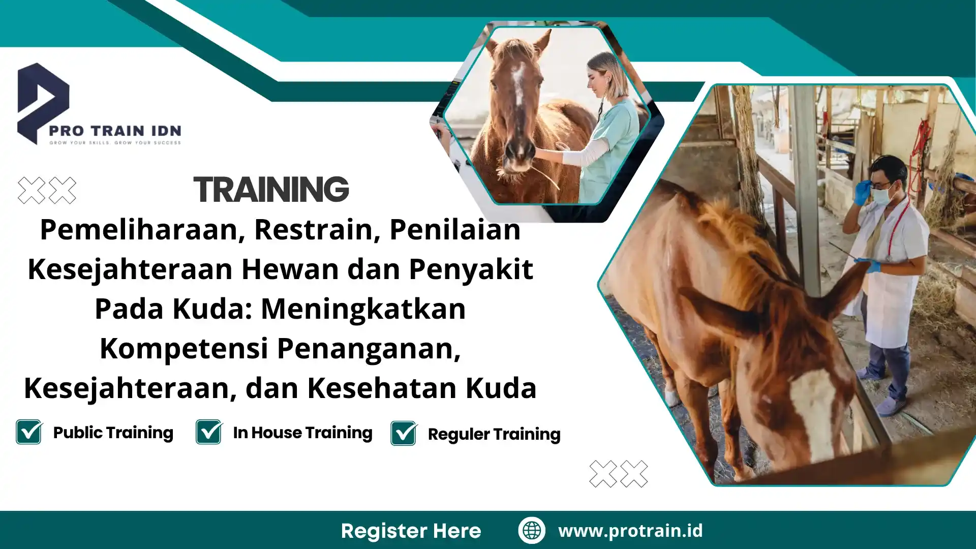 horse health management