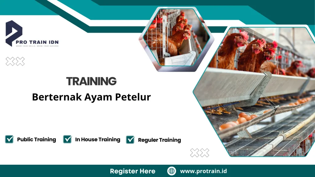 manajemen peternakan ayam petelur