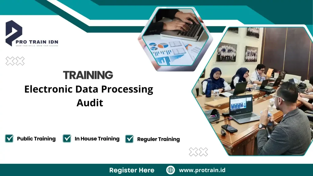 audit berbasis EDP