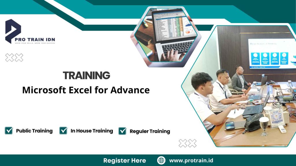 excel untuk profesional