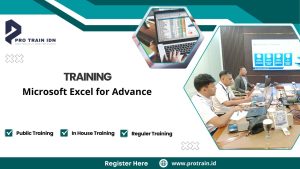 excel untuk profesional