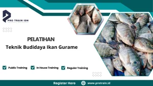 pembudidayaan ikan gurame