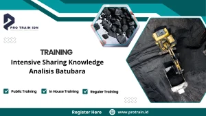 teknik analisis batubara