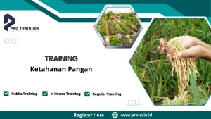 manajemen risiko dan ketahanan terhadap krisis pangan
