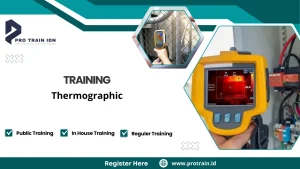 thermographic inspection