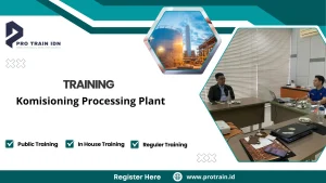 commissioning processing plant